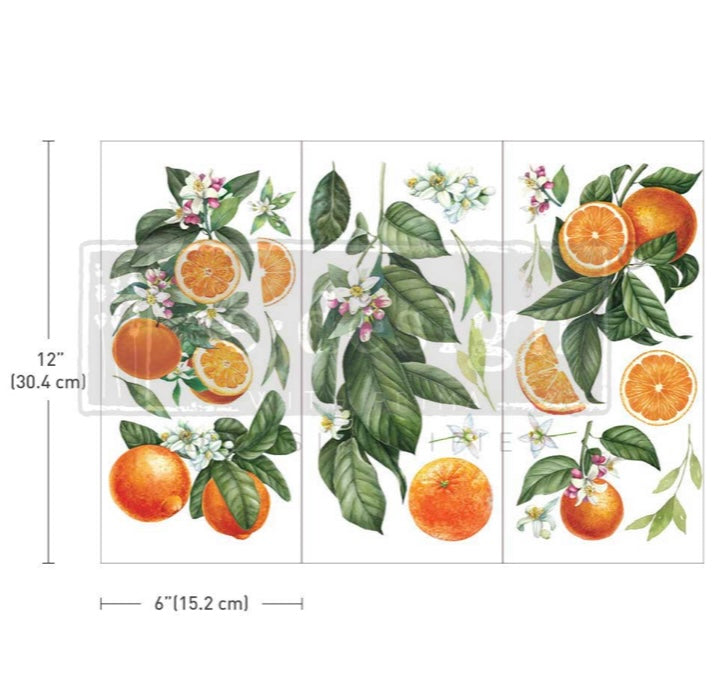 Citrus Slices small transfer by Redesign with Prima