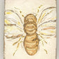 4x5 bee bumble honey floral botanical painted textured block