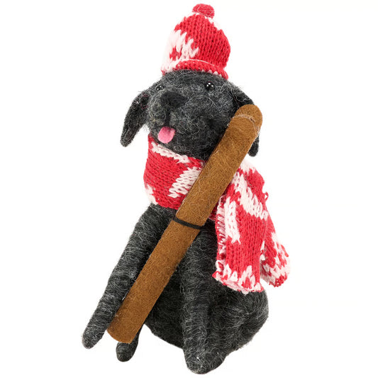 Ski patrol dog