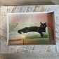 Furry friends art in whitewashed wood frame