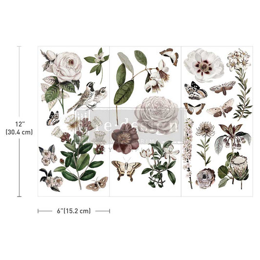 Secret Garden Decorative Small transfers by Redesign with Prima
