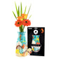 Modgy Vases