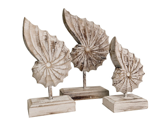 Nautilus set of 3