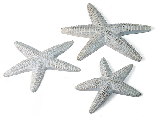 Starfish set of 3