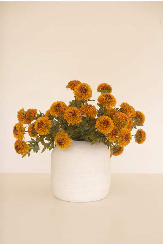 Dahlia stems mustard