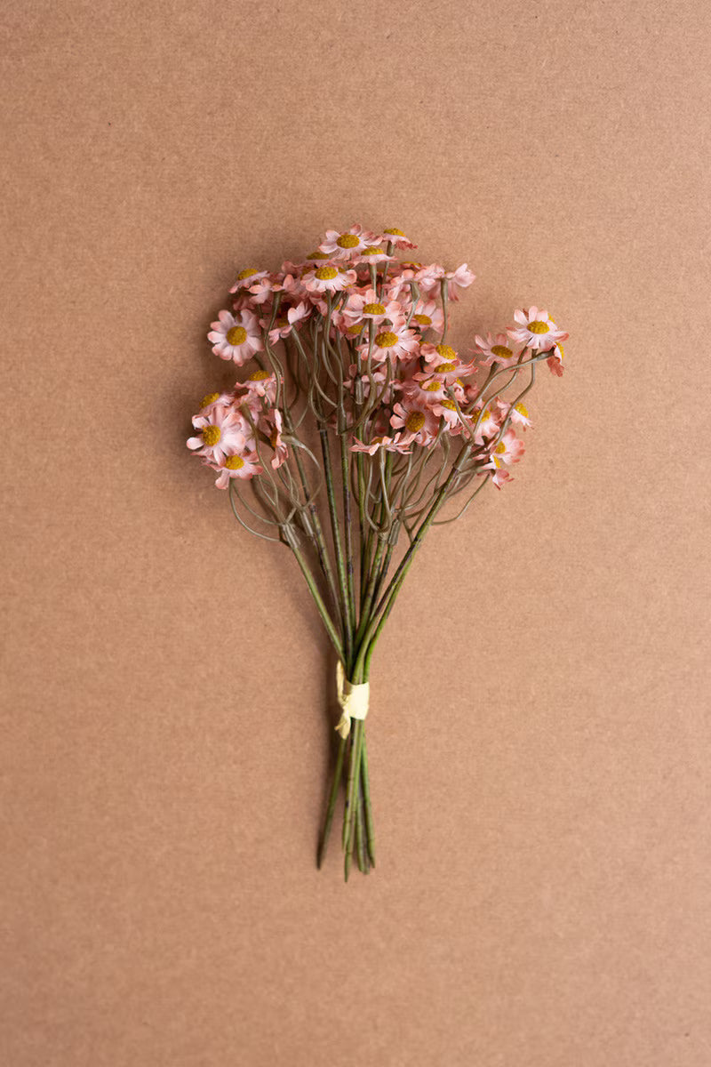 Chamomile stems-blush