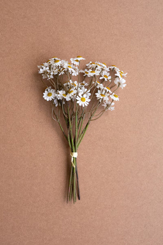 Chamomile bunches-white