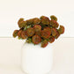 Real touch artificial auburn ball dahlias