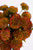 Real touch artificial auburn ball dahlias