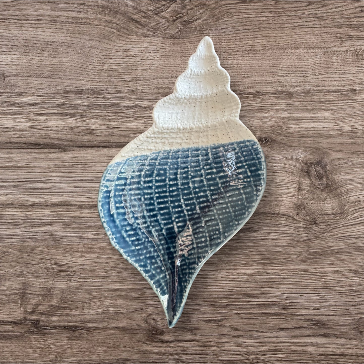 Blue and Bisque Shell plate
