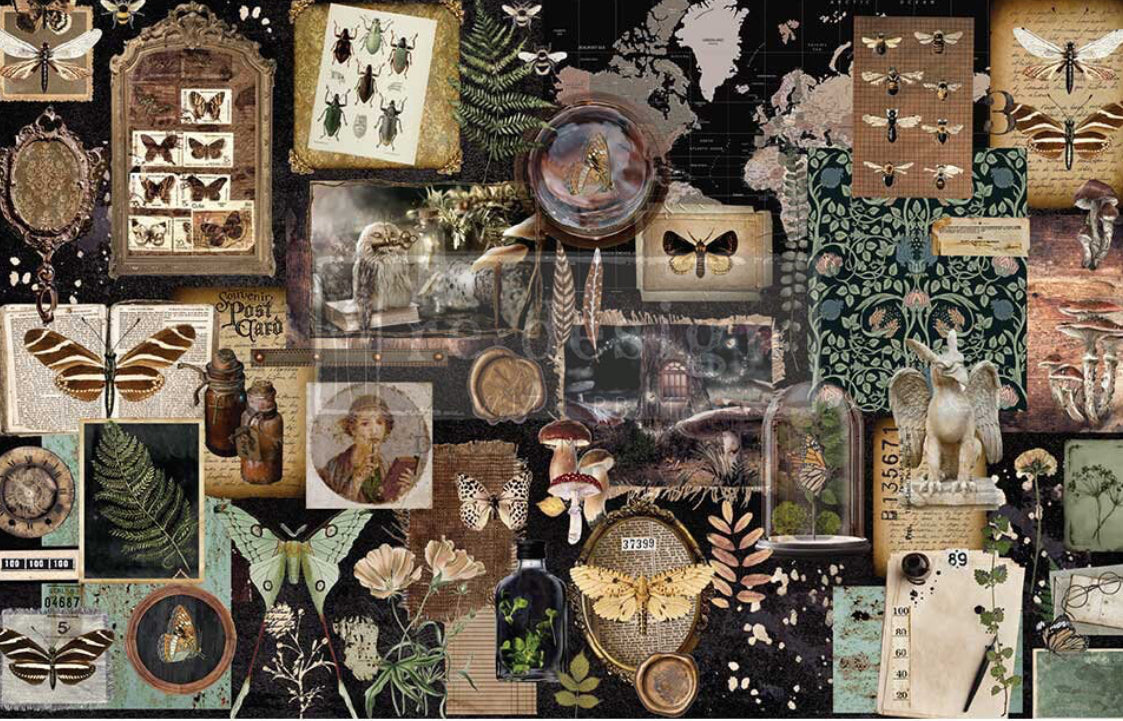 Herbarium notes decoupage paper by Redesign with Prima
