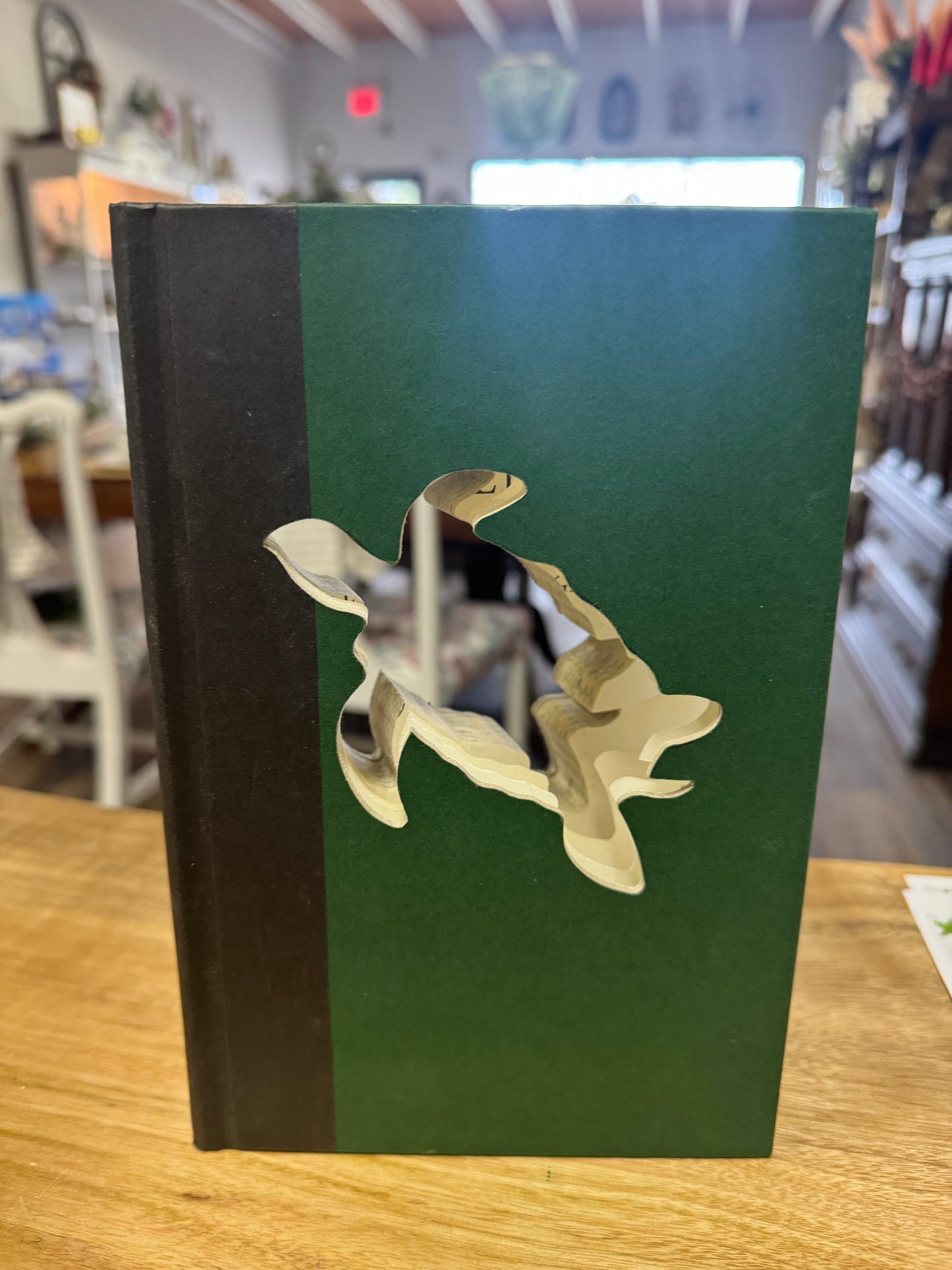 Turtle Repurposed Book Decor