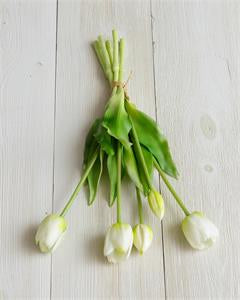 Real touch tulip-white