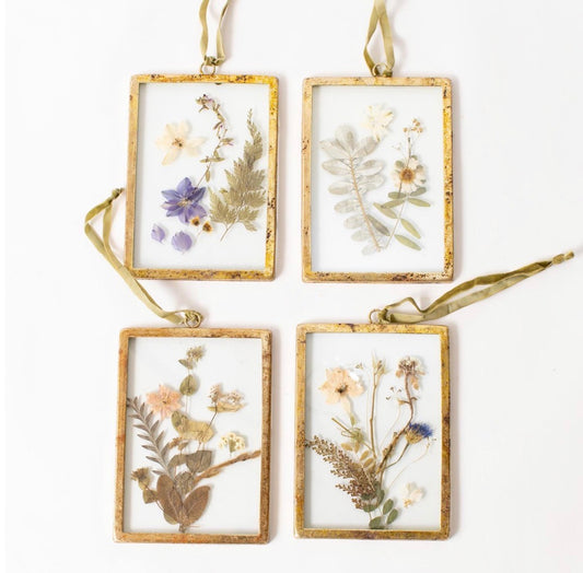 WALL ART - PRESSED FLOWERS, GOLD FRAMES