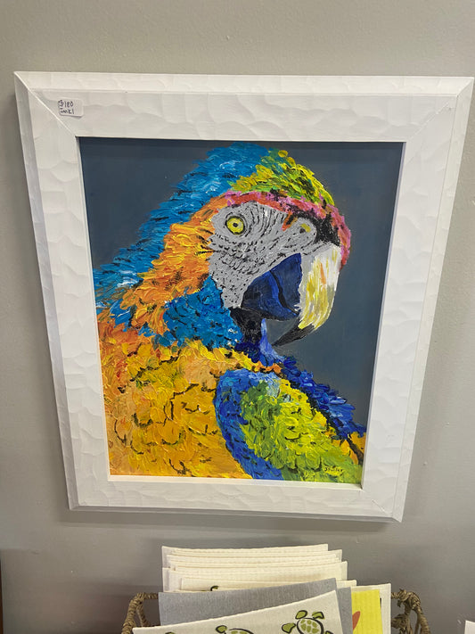 Parrot original artwork