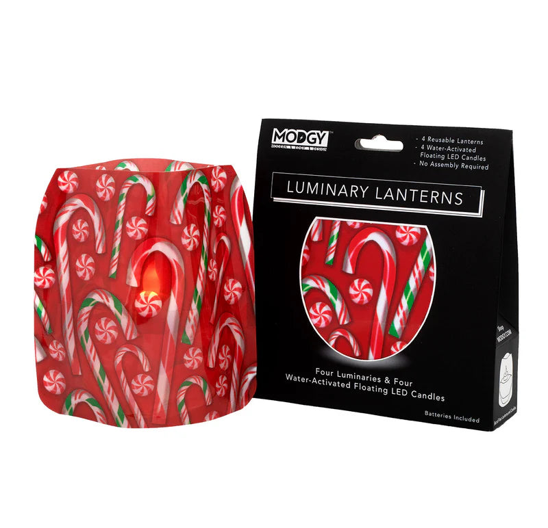 Modgy Luminary Lanterns