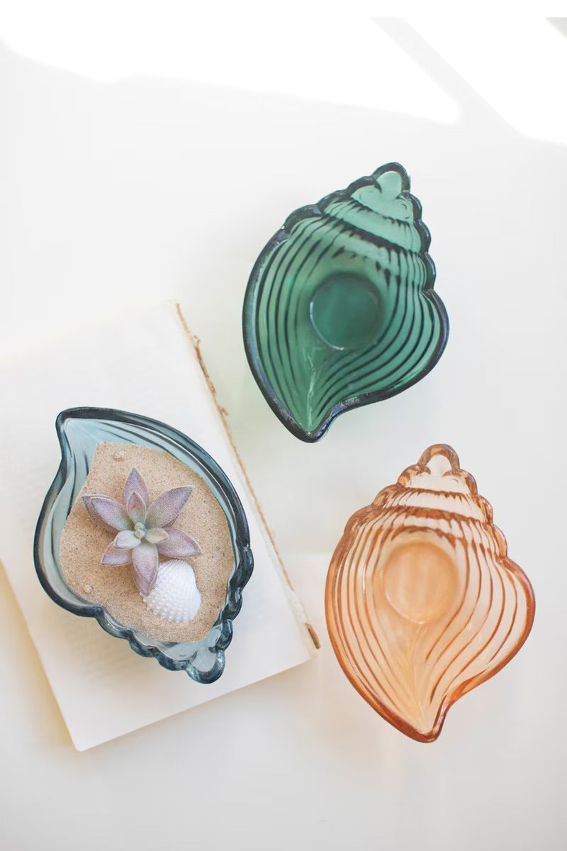 Scallop shell bowls