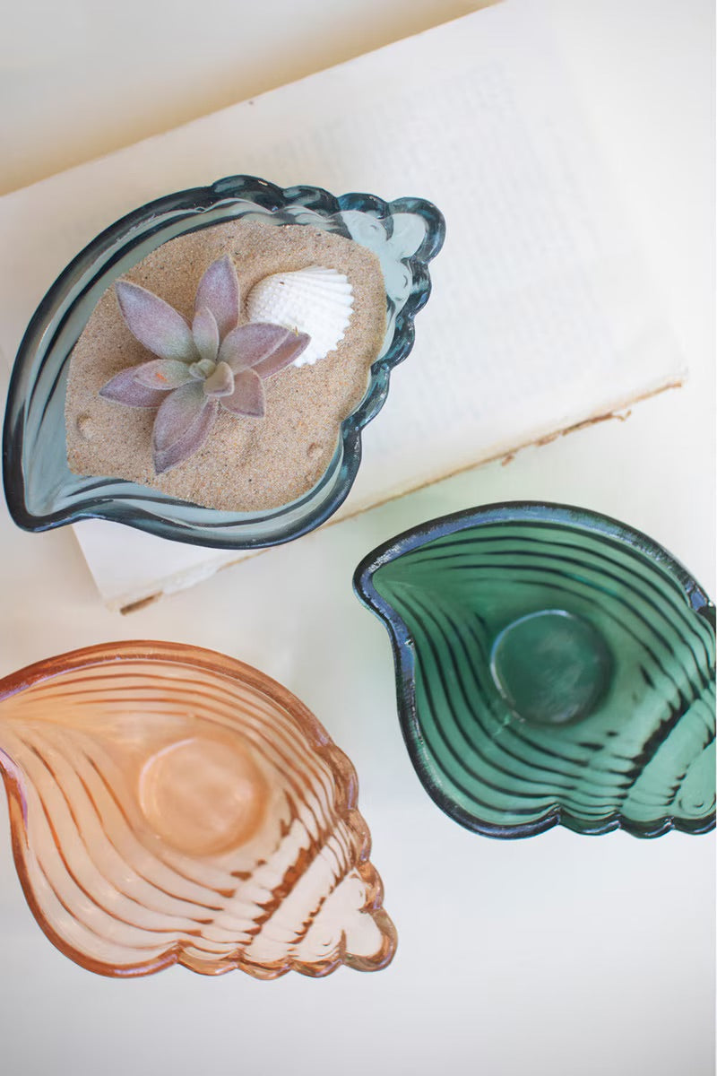 Scallop shell bowls