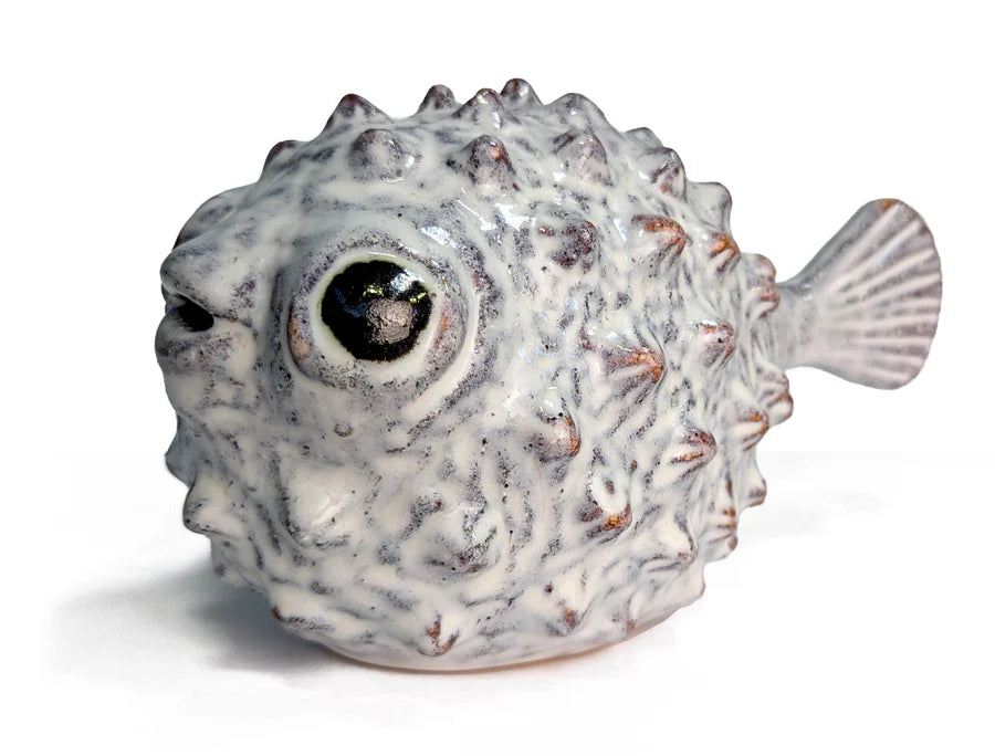 Puffer fish