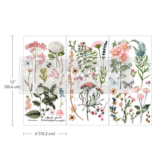 Botanical Paradise