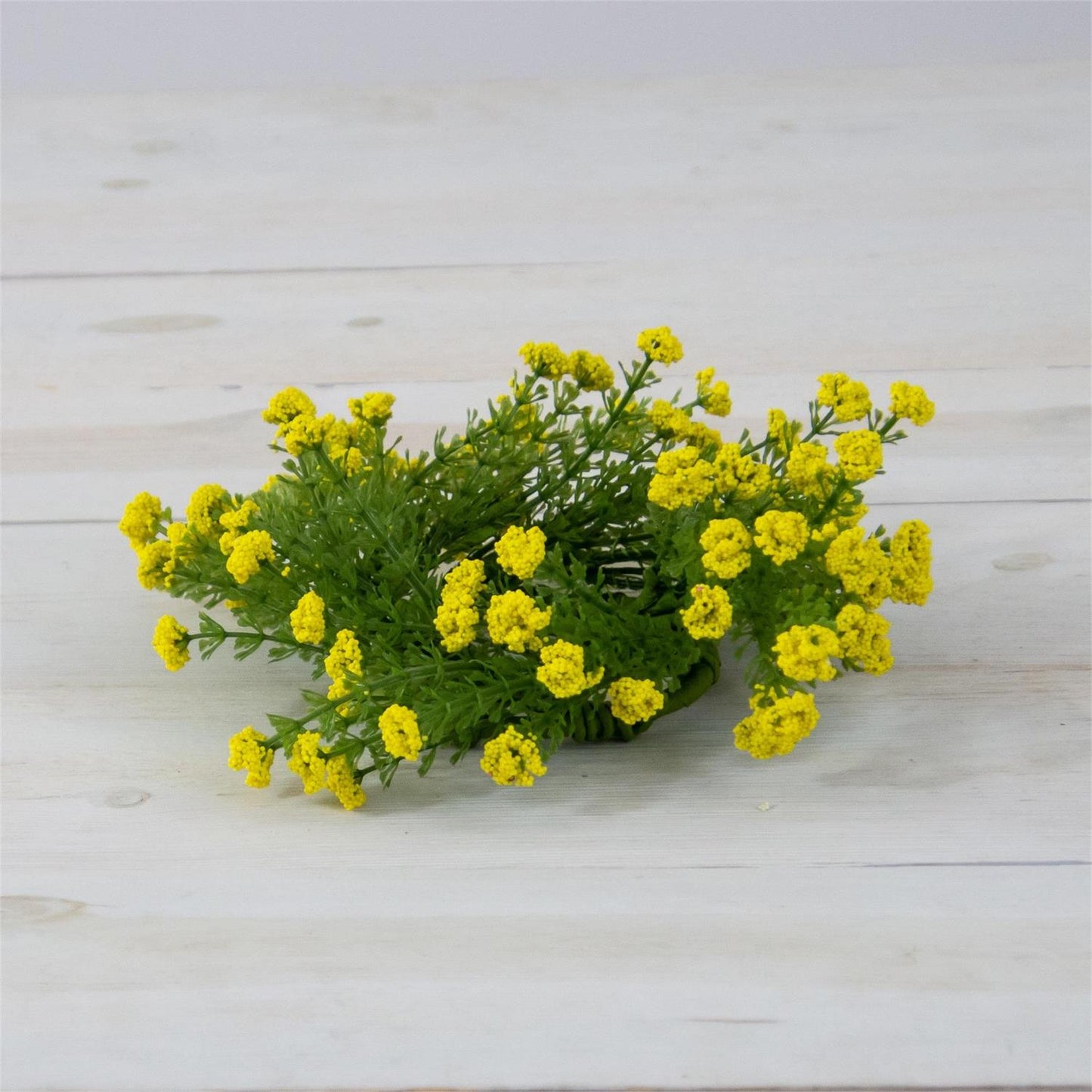 Candle ring-yellow phlox