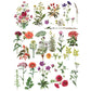 Floral Collection Decorative Transfer by Redesign with Prima