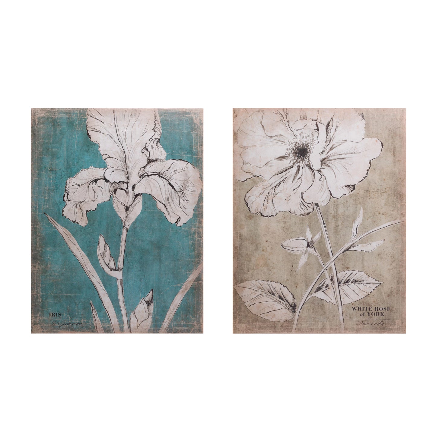 Wood Wall Decor with Garden Print 2 styles