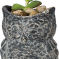 Cement Owl Planter Set
