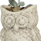 Cement Owl Planter Set