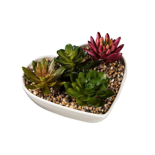 Ceramic Heart Shaped Dish with Succulent Table Décor