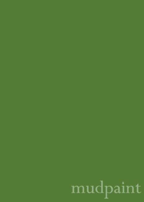 Grassy Green Mudpaint