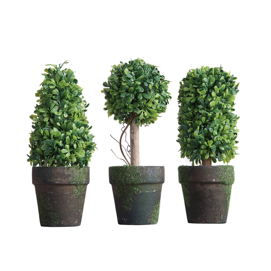 Small topiary pots
