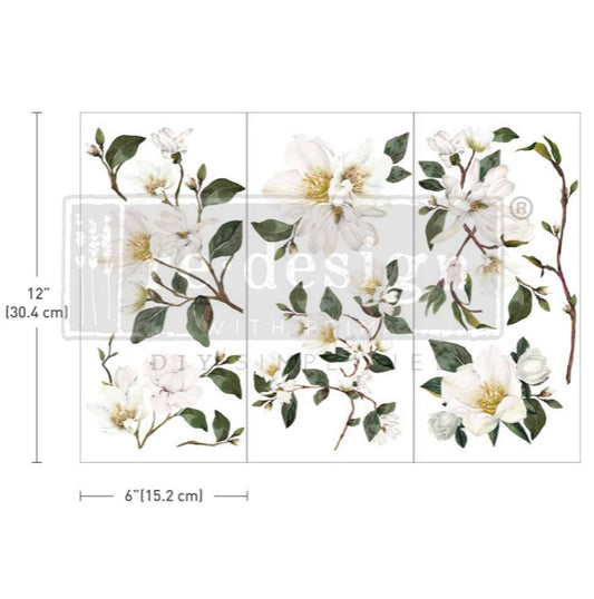 White Magnolia small transfer by redesign with Prima