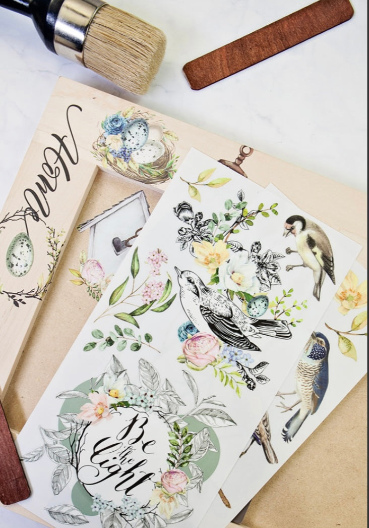 Garden marvels decorative transfer by Redesign with Prima